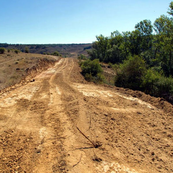 Land Clearing